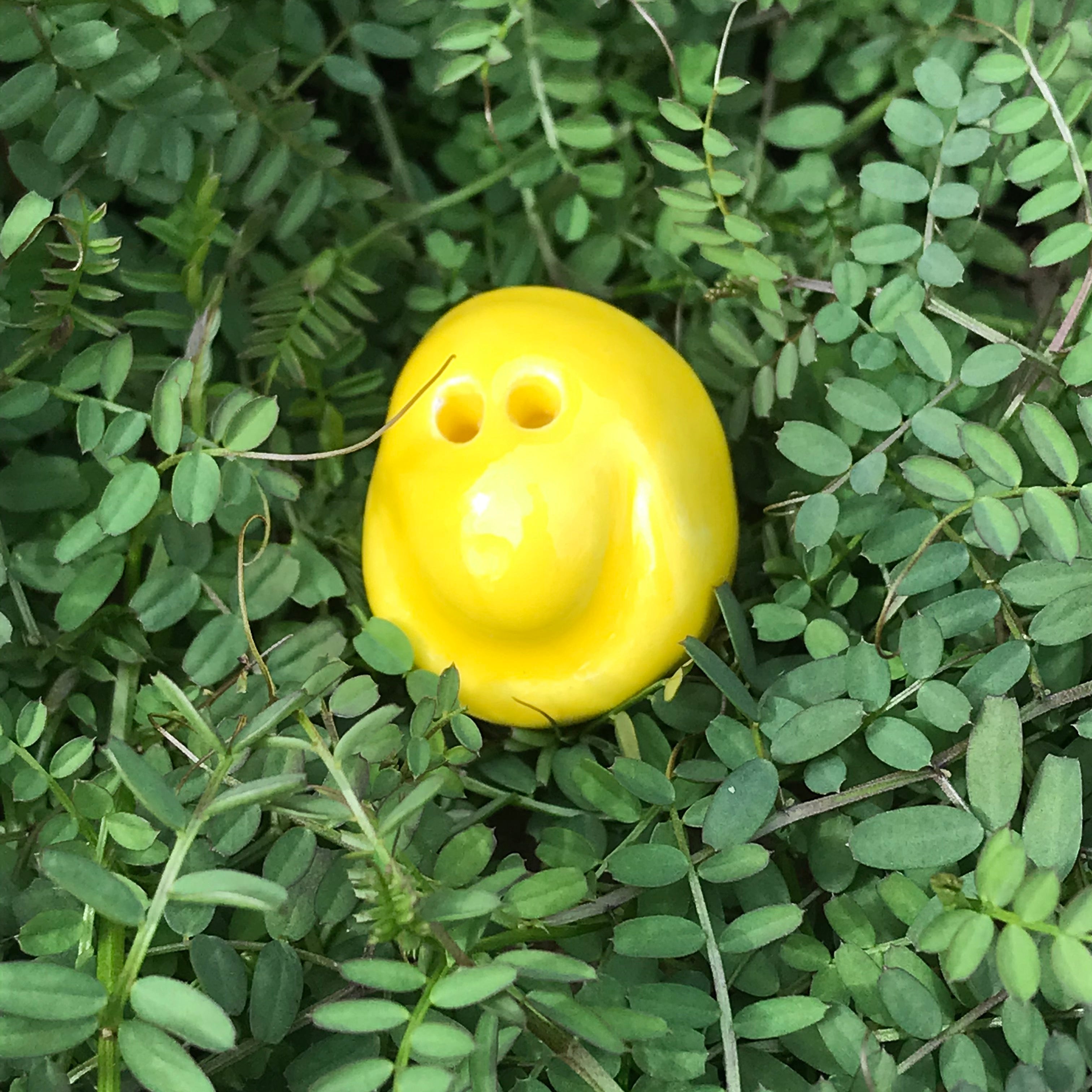 SPARK ⭕ Seeds are holdable smiles!