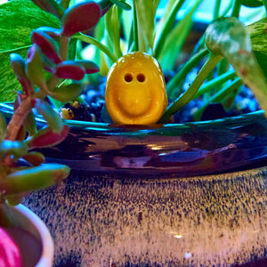 Little Smile. Big Impact Gift Box